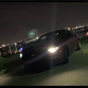 Meet your Posher, Devon